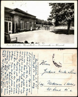 Ansichtskarte Bad Salzuflen Wandelhalle U. Gradierwerke Im Kurpark 1953 - Bad Salzuflen