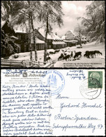 Bad Harzburg Wildfütterung Am Harzhotel Molkenhaus Im Hochharz 1958 - Bad Harzburg