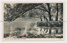 C011393 Enfield. White Webbs Park. Pond. 82987. 1959. Photochrom - World