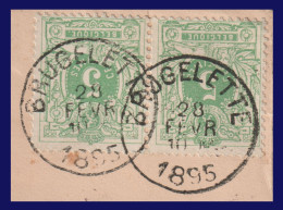 N°45 En Paire / Fragment - Belles Oblitérations  - "BRUGELETTE" - 1869-1888 Lion Couché