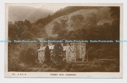 C010413 701. A. And P. K. Forest Side. Grasmere. Atkinson And Pollitt. Kendal. 1 - World