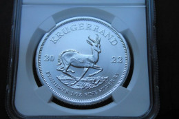 Moneda 1oz. Krugerrand Acuñada 2022 En Plata Con Certificado NGC - Afrique Du Sud