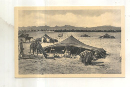 1442. Scenes Et Types, Campement De Nomades - Unclassified