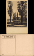 Oranienbaum-Oranienbaum-Wörlitz Blick Auf Die Rousseau-insel 1925 - Autres & Non Classés