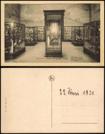 Tervuren (Tervueren) Tervueren - Musée Du Congo Belge Salle Des Oiseaux, 1930 - Autres & Non Classés