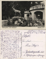Ansichtskarte Alsbach (Bergstraße) Erholungsheim ZUm Hirschpark 1940 - Autres & Non Classés