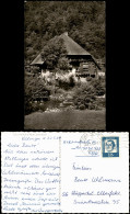 Ansichtskarte .Baden-Württemberg Schwarzwaldhaus (ohne Ortsangabe) 1964 - Other & Unclassified