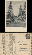 Winter-Ansichtskarte (Schnee/Eis) / Stimmungsbild Tannen Landschaft 1947 - Non Classés