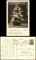 Ansichtskarte Wien Winter - Weihnachtsbaum - Fotokarte 1934 - Autres & Non Classés