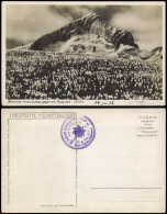 Garmisch-Partenkirchen Blühende Krokuswiese Gegen Die Alpspitze 2628m 1929 - Garmisch-Partenkirchen