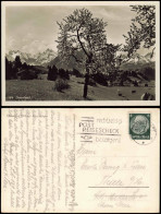 Ansichtskarte Oberstdorf (Allgäu) Baumblüte 1936 - Oberstdorf