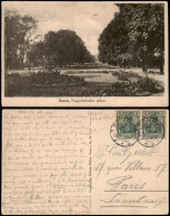 Ansichtskarte Bonn Poppelsdorfer Allee 1913 - Bonn