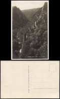 Ansichtskarte Treseburg (Harz), Blick Vom Bodetor 1930 - Autres & Non Classés