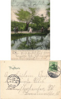 Ansichtskarte Bad Oeynhausen Kinder In Der Oeyenhausener Schweiz 1905 - Bad Oeynhausen