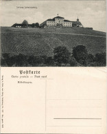 Ansichtskarte Oestrich-Winkel Schloss Johannisberg, Weinberg 1906 - Oestrich-Winkel