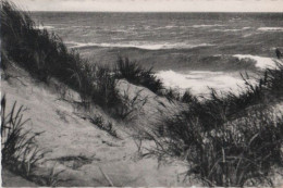 88338 - Amrum - Dünendurchblick - Ca. 1960 - Husum