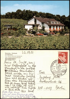 Bischoffingen-Vogtsburg Im Kaiserstuhl Weinstube Steinbuck Mit Gästehaus   1983 - Other & Unclassified