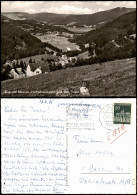 Bärental-Feldberg (Schwarzwald) Blick Auf   Und Zum Titisee 1968 - Feldberg