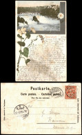Ansichtskarte Neuhausen Am Rheinfall Rheinfall - Blumenornament 1898 - Other & Unclassified