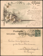 Ansichtskarte  Blumen Und Stadt 1899  Gel. Stempel St. Gallen - Paintings