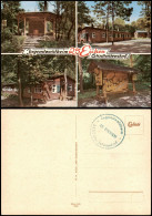 Ansichtskarte Stadtoldendorf Jugendwaldheim 25 Eichen, Mehrbildkarte 1970 - Autres & Non Classés