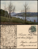 Ansichtskarte  Stimmungsbilder: Natur Wald Und Birken Am See 1913 - Non Classés