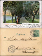 Ansichtskarte Zwickau Crataegusdamm U. Schwanenteich 1904 - Zwickau