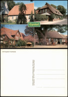 Ansichtskarte Egestorf Mehrbildkarte Mit 4 Ortsansichten 1980 - Autres & Non Classés