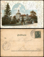 Ansichtskarte Eutin Großherzogliches Schloss 1905 - Autres & Non Classés