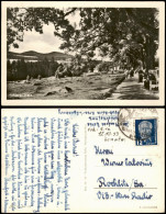 Ansichtskarte Schierke Umland-Ansicht 1953 - Autres & Non Classés