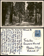 Ansichtskarte Elend (Harz) Partie Im Elendstal 1954 - Autres & Non Classés