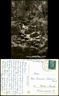 Ansichtskarte Ilsenburg (Harz) Ilsefälle-Ilsetal 1966 - Autres & Non Classés