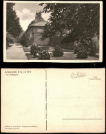 Ansichtskarte Pillnitz SCHLOSS PILLNITZ Partie Im Schloßpark 1930 - Pillnitz