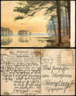 Ansichtskarte  Stimmungsbilder: Natur - Bäume Am See 1920 - Non Classés