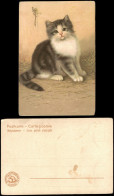 Ansichtskarte  Tiere - Katzen Künstlerkarte Stärkefabriken Salzuflen 19123 - Chats