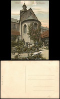 Ansichtskarte Hildesheim 1000 Jähriger Rosenstock. 1912 - Hildesheim
