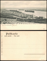 Ansichtskarte Rüdesheim (Rhein) Blick über Die Weinberge Zur Stadt 1905 - Ruedesheim A. Rh.