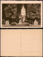 Ansichtskarte Potsdam Sanssouci - Allee - Statuen 1928 - Potsdam