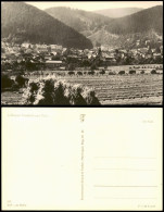 Ansichtskarte Friedrichroda Panorama-Ansicht; Ort In Thüringen 1967 - Friedrichroda
