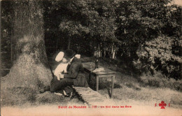 N°4751 W -cpa Forêt De Meudon -un Nid Dans Les Bois- - Meudon