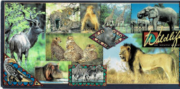 Postkarte Wildlife Of Southern Africa - Andere & Zonder Classificatie