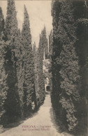 Verona Verona Ingresso Del Giardino Giusti/Villa Parkanlage Treppen Aufgang 1910 - Autres & Non Classés