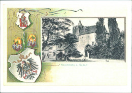 Naumburg (Saale) Reprint-Postkarte  Historische Teilansicht, Wappen 2008 - Autres & Non Classés