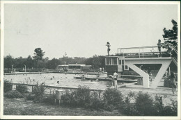 Nistelrode Zwembad "Achter De Berg" Freibad, Schwimmbad Nistelrode Holland 1974  - Autres & Non Classés