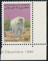 THEMATIC FAUNA: MONKEY.  PAPIO HAMADRYAS, PRIMATE OF THE CERCOPITHECUS FAMILY   -    DJIBOUTI - Andere & Zonder Classificatie