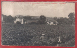 Carte Postale 82. Lallande  Le Vignoble  Près De Valence-d'Agen   Très Beau Plan - Sonstige & Ohne Zuordnung