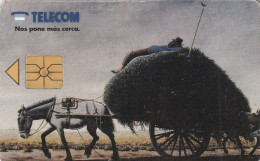 PHONE CARD ARGENTINA  (CZ2973 - Argentine
