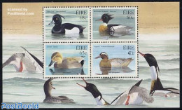 Ireland 2004 Ducks S/s, Mint NH, Nature - Birds - Ducks - Unused Stamps