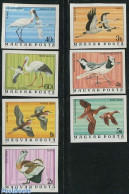 Hungary 1977 Birds 7v Imperforated, Mint NH, Nature - Birds - Ducks - Storks - Geese - Unused Stamps