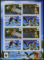 Gambia 2011 WWF, Stork (mycrteria Ibis) M/s With 2 Sets, Mint NH, Nature - Birds - World Wildlife Fund (WWF) - Gambie (...-1964)